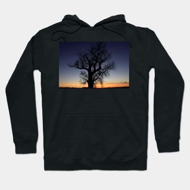 Kansas colorful Sunset with a Tree Silhouette out in the country Hoodie by ROBERTDBROZEK